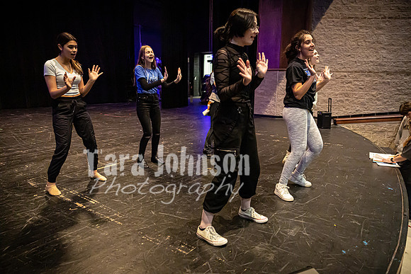 22 LHS Theatre - Mermaid  Practice - TJP (60 of 290)