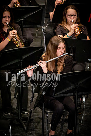 22 WLMS - March Madness 3-2 - TJP (54 of 264)