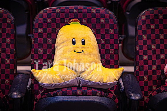 25 MTC - VIP - Candids - TJP (12 of 130)