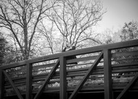 24 Senior Photos - Grace Fitzgerald B&W (16 of 171)