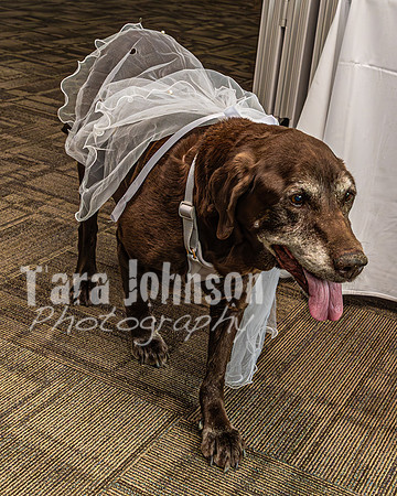 J. & D. Klann - Wedding Prep - TJP (11 of 40)