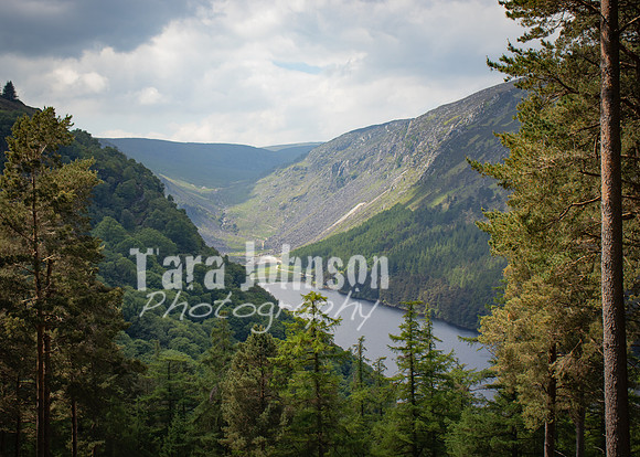 Glendalough Field Trip (113 of 117)