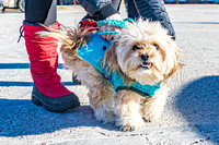 MLK Dog - TJP (4 of 11)