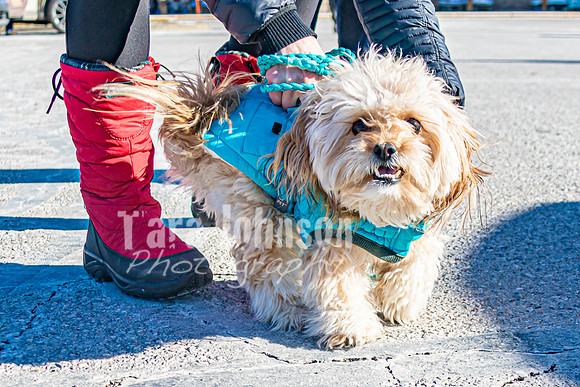 MLK Dog - TJP (4 of 11)