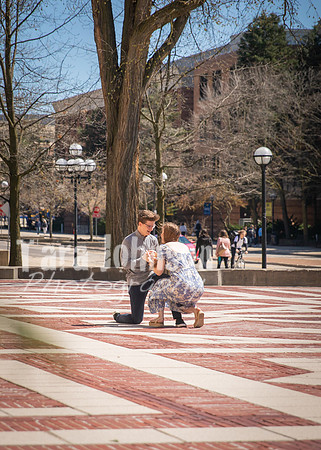 Nick & Audrey Engagement - 24-79