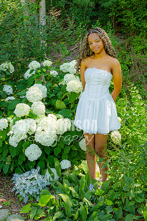 Anna Allen @ Central Park in Milford - Color - TJP (82 of 100)