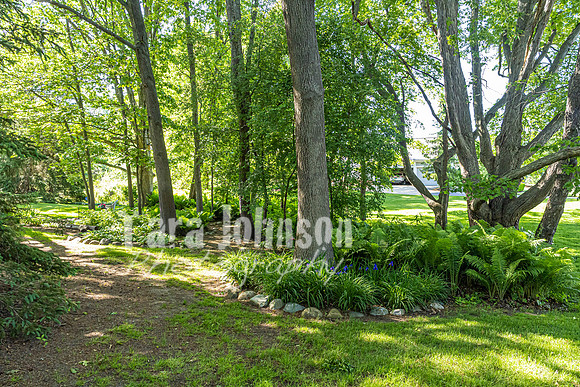 Homestead - 7011 Cedar Creek (8GB max) - TJP (25 of 109)