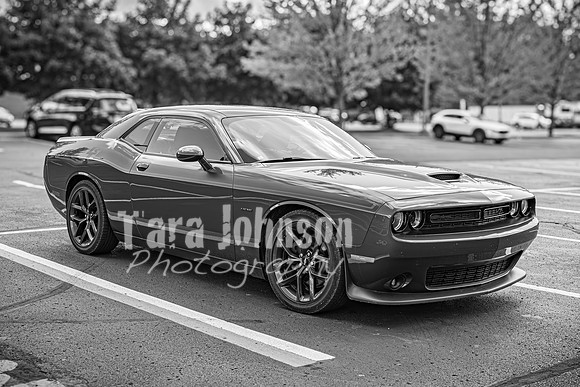 Ron & Michelle - Complete - BW - TJP (182 of 341)