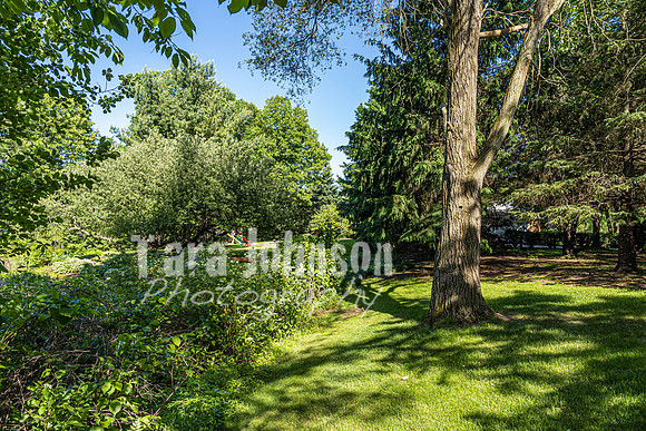 Homestead - 7011 Cedar Creek (8GB max) - TJP (39 of 109)