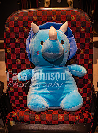 25 MTC - VIP - Candids - TJP (14 of 130)