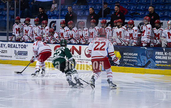 2025 Hockey Semifinals - EL (7 of 19)