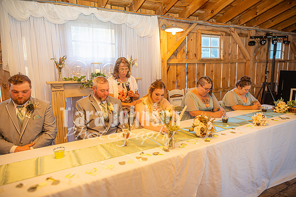 Michael & Ashlee McGrath - The Reception - TJP (35 of 53)