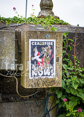 Galway Day Trip - Riverside Walk (39 of 57)