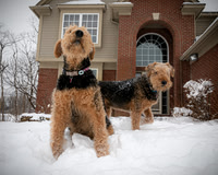 Woodrow & Lilly - TJP (16 of 64)