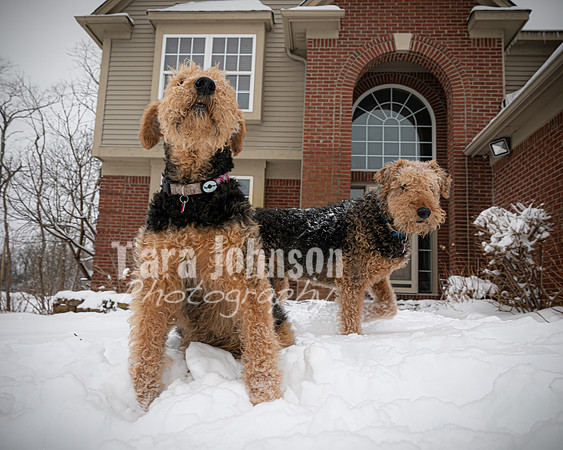 Woodrow & Lilly - TJP (16 of 64)