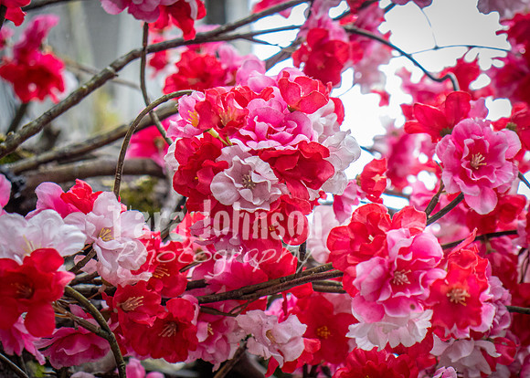 Galway Day Trip - Streets of Galway (13 of 51)