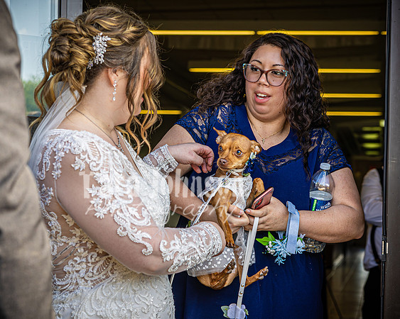 Mitch & Kelly - Receiving Line - TJP (49 of 59)