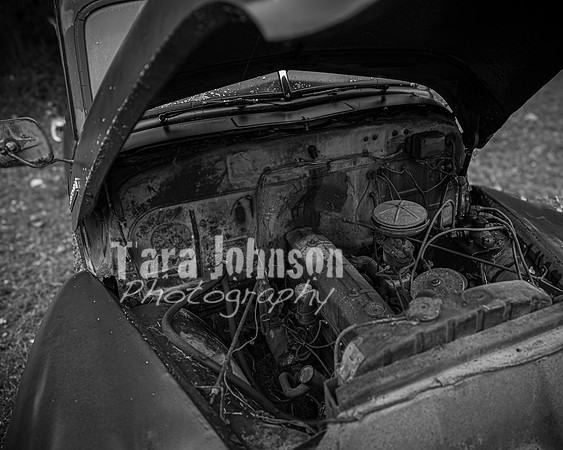 Wyman Family - BW - TJP (18 of 36)