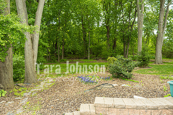 Homestead - 6739 Kingsmill (8MB max) - TJP (10 of 84)
