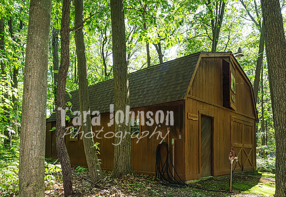 Homestead - 3415 W. Buno (8MB max)- TJP (10 of 60)