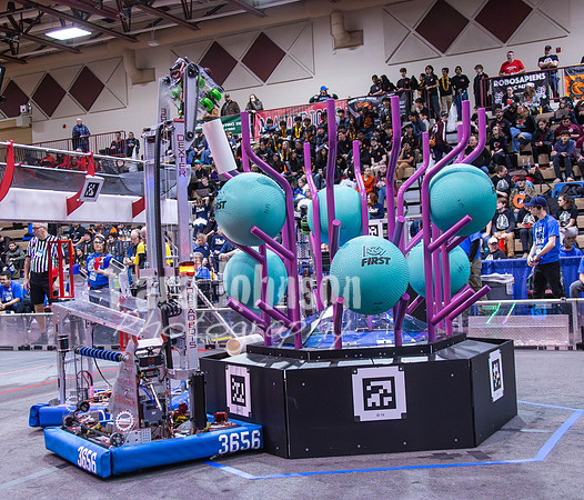 MHSRobotics2025 (330 of 688)