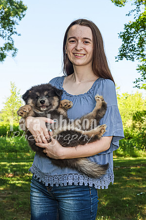 Bryde Family & Finish Lapphund Pups - TJP (57 of 60)