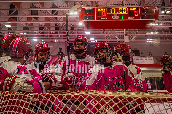 2025 Pink In The Rink- AA (11 of 29)