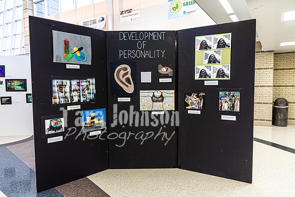 22 IAW Art Exhibition- Full EX - TJP (16 of 18)
