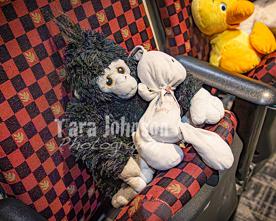 25 MTC - VIP - Candids - TJP (26 of 130)