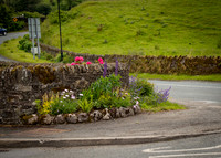 Glendalough Field Trip (17 of 117)