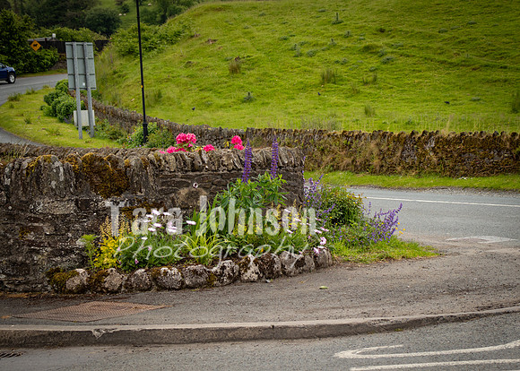Glendalough Field Trip (17 of 117)