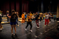 2024 MTC - Honk - Practice - TJP (10 of 180)