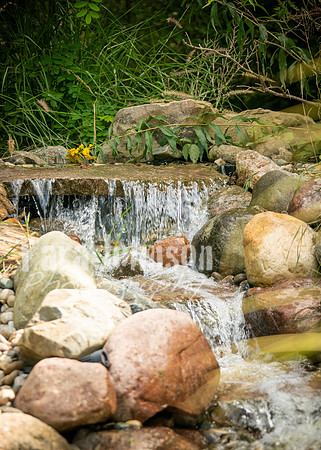 24 D & B Law Wedding - Venue (14 of 69)