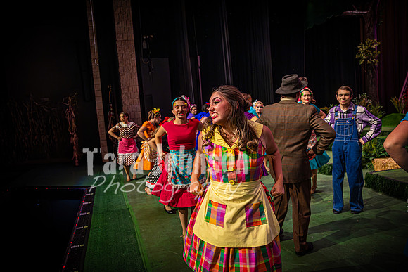 2024 MTC - Honk - R1 (Monday) - TJP (17 of 1331)