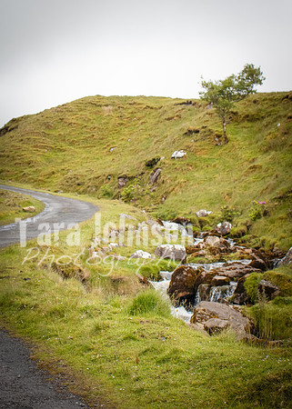 Benbulbin Mountain Trip (6 of 139)