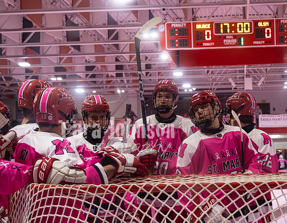 2025 Pink in the Rink - EL (5 of 28)