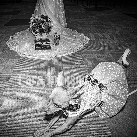Mitch & Kelly - Complete - BW - TJP (143 of 731)