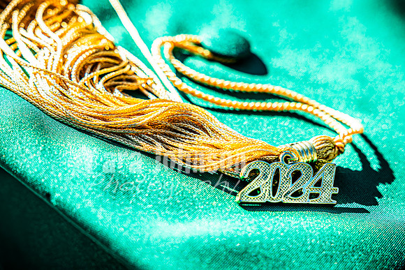 2024 Tara Walsh MSU - TJP (50 of 50)