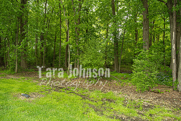 Homestead - 6739 Kingsmill (8MB max) - TJP (12 of 84)
