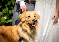 24 D & B Law Wedding - Full Collection (151 of 308)