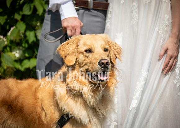 24 D & B Law Wedding - Full Collection (151 of 308)