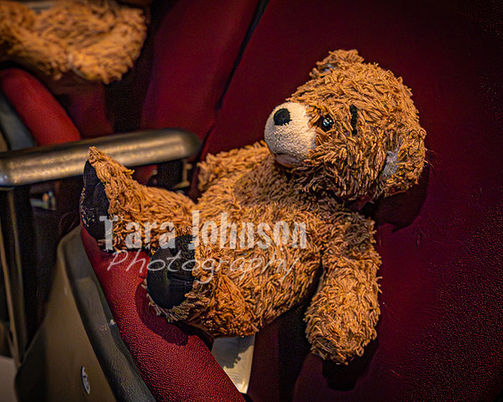 25 MTC - VIP - Candids - TJP (45 of 130)