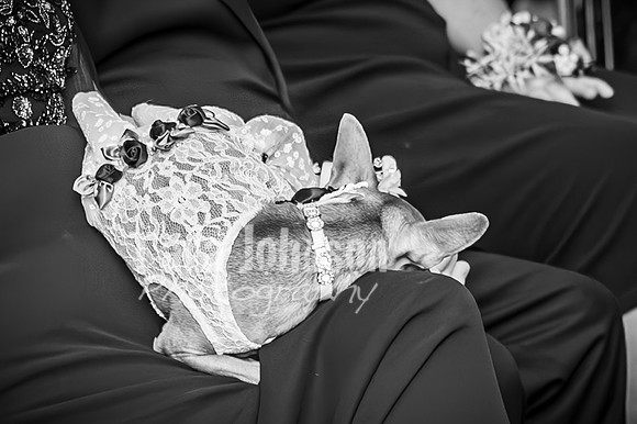 Mitch & Kelly - Highlights - BW - TJP (46 of 95)
