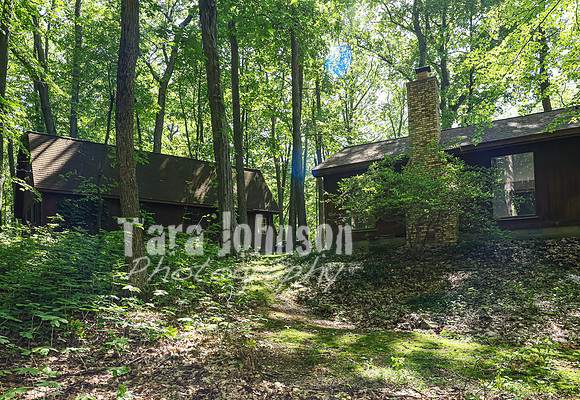 Homestead - 3415 W. Buno (8MB max)- TJP (7 of 60)