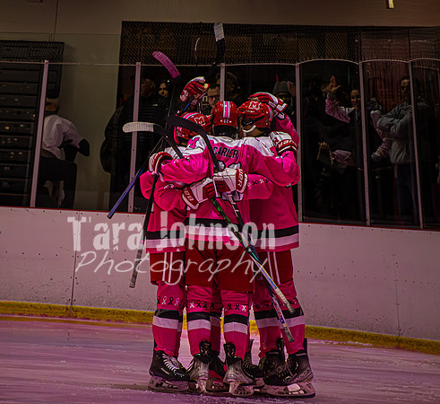2025 Pink In The Rink- AA (5 of 29)