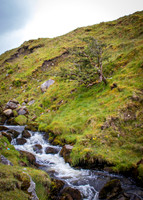 Benbulbin Mountain Trip (9 of 139)