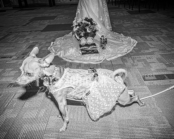 Mitch & Kelly - Complete - BW - TJP (145 of 731)