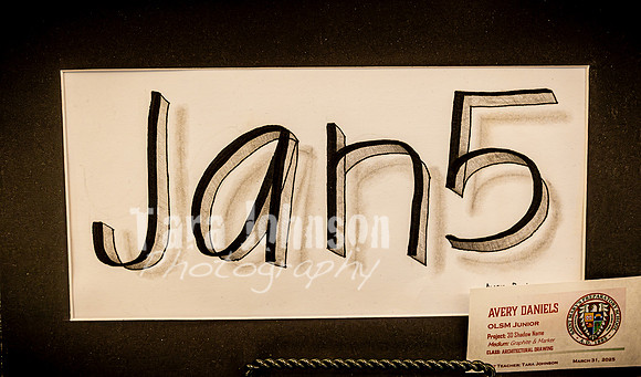 2025 OLSM Art Show - Art Selections - TJP (41 of 237)