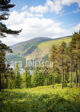 Glendalough Field Trip (115 of 117)