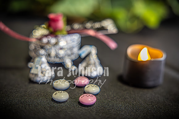 Eric & Elyse - Wedding Prep - TJP (8 of 78)
